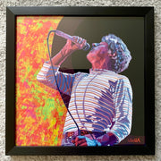 Roger Daltrey digital painting by Stella Tooth framed